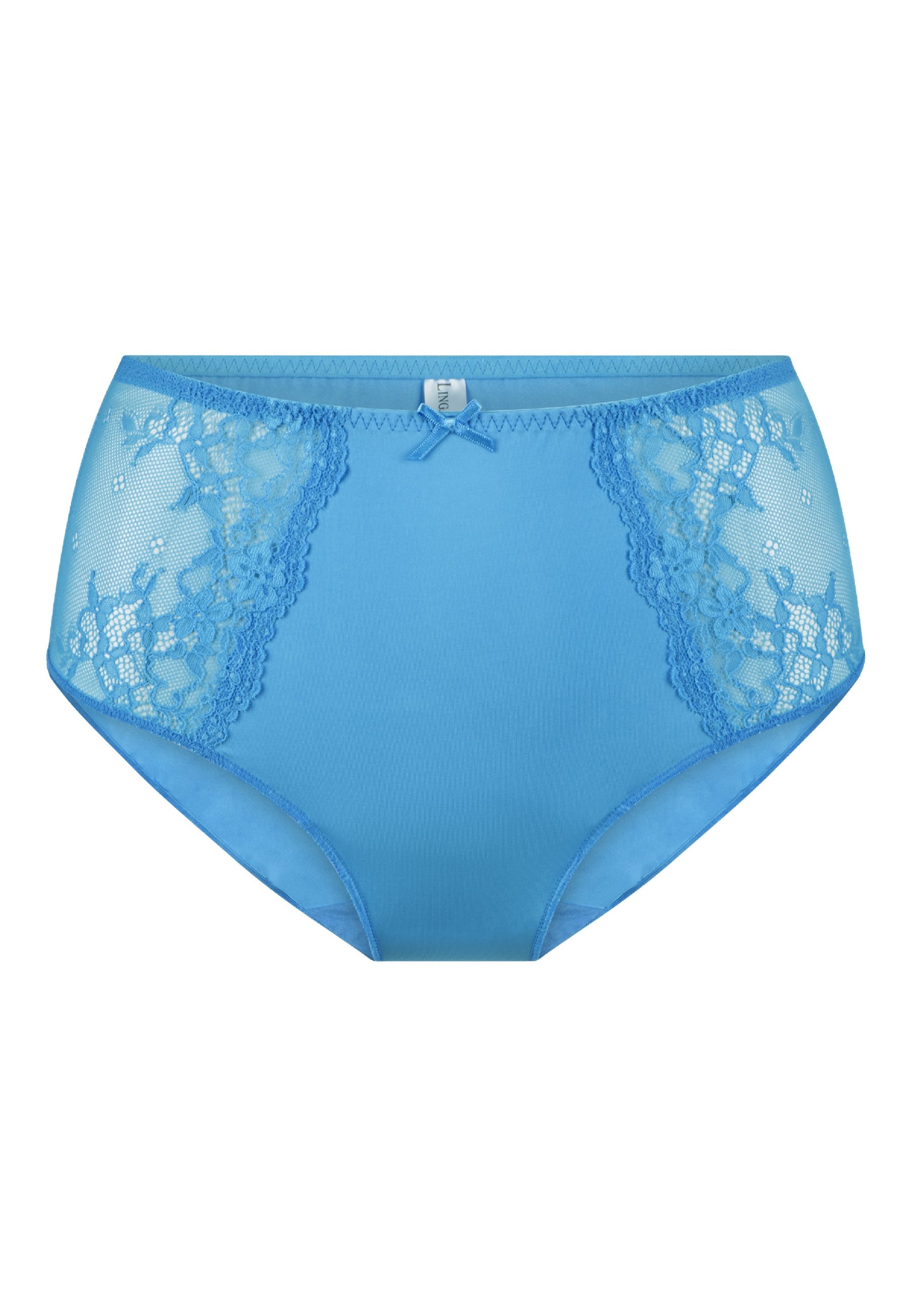 Slip LingaDore en bleu : devant