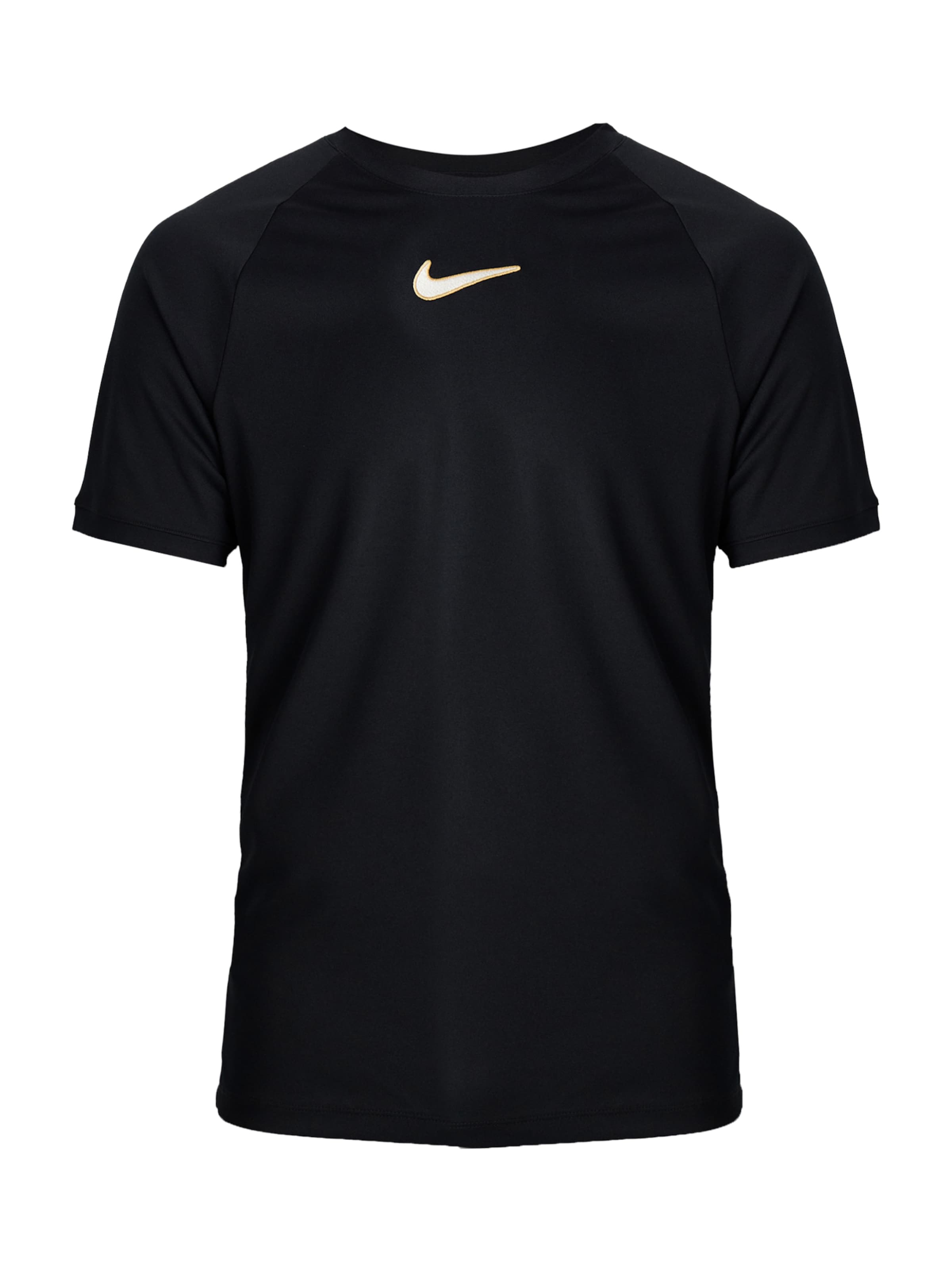 NIKE Funktionsshirt 'Academy' in Schwarz: Vorderseite