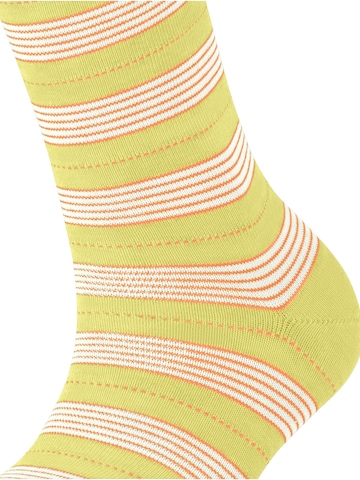 FALKE Socken 'Stripe Uniform' in Gelb: Vorderseite