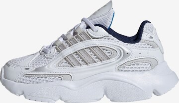 ADIDAS ORIGINALS - Zapatillas deportivas en blanco: frente