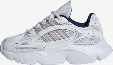 Baskets ADIDAS ORIGINALS en blanc : devant