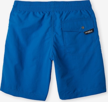 Shorts de bain 'Vert' O'NEILL en bleu