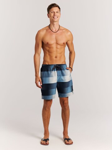 PROTEST Badeshorts 'PRTLomond'‌‌‌ in Blau
