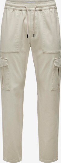 Only & Sons Pantalon cargo 'LUC' en gris argenté, Vue avec produit