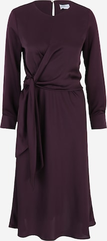 Robe 'SION' Marella en violet : devant