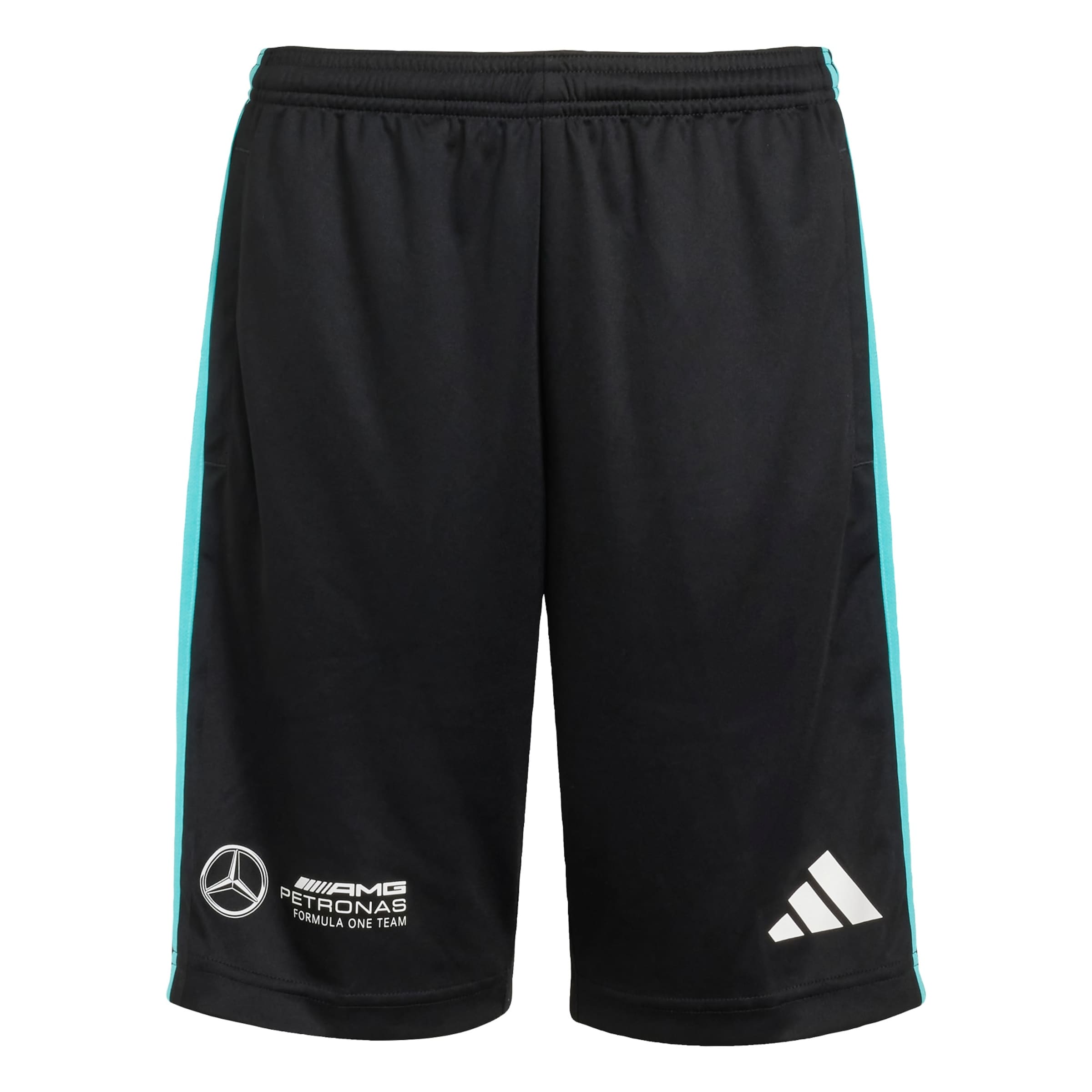 ADIDAS PERFORMANCE Regular Sportbroek 'Mercedes - AMG Petronas Formula One Team' in Zwart: voorkant