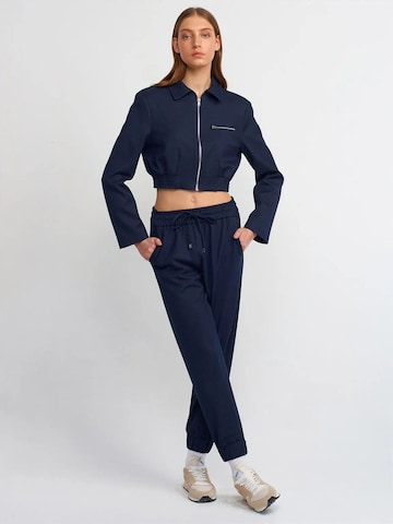 Dilvin Jacken in Blau