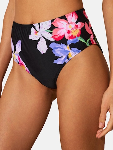 love & roses Низ бикини в Черный: спереди