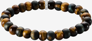 Thomas Sabo Armband in Braun: Vorderseite