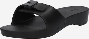 Scholl Iconic Пантолеты 'PESCURA LEA' в Черный: спереди