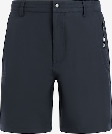 PROTEST Badeshorts 'PRTRadcot' in Blau: Vorderseite