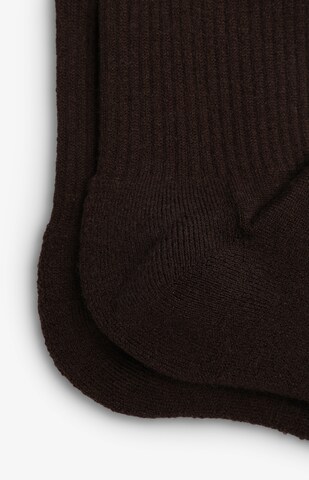 Scalpers Sena Socks in Braun
