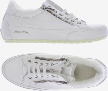 Candice Cooper Sneakers & Trainers in 39 in White: front