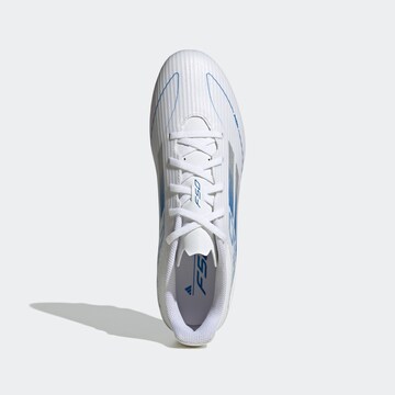 ADIDAS PERFORMANCE Fußballschuh in Weiß