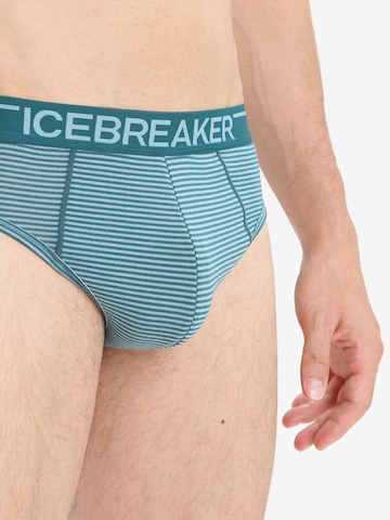 ICEBREAKER Athletic Underwear 'Anatomica' in Green
