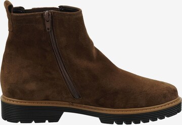 GABOR Chelsea boots in Bruin