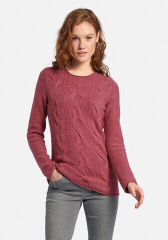 Peter Hahn Sweater in Red: front