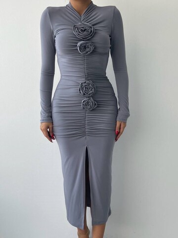 WOMAN VISION Kleid in Grau