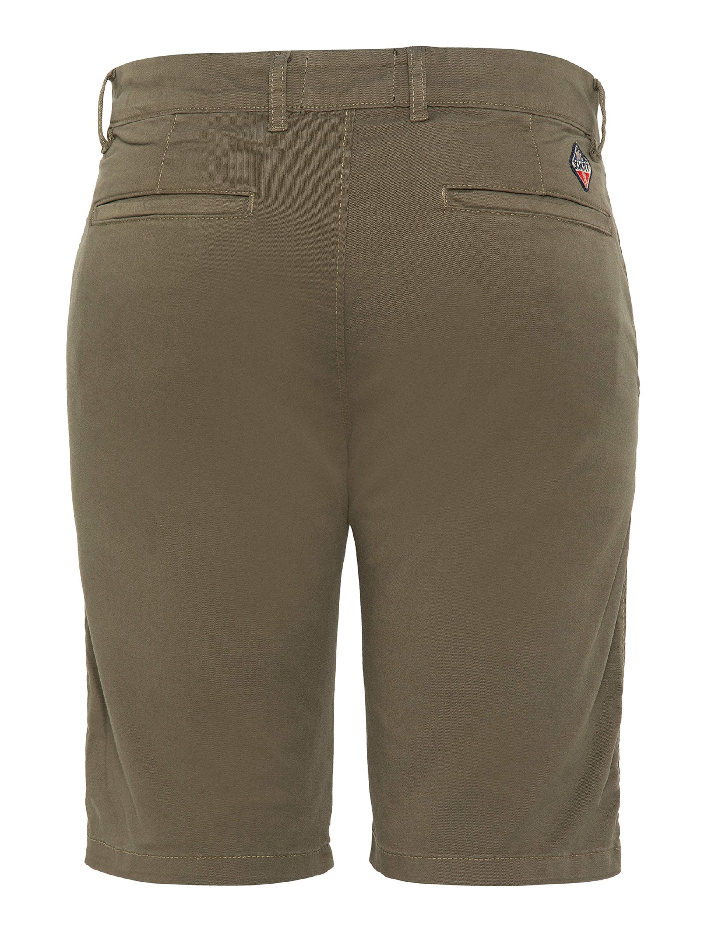 Schott NYC Slim fit Pants in Green