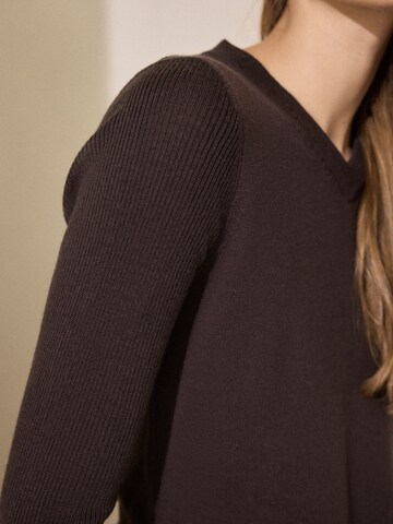 Pullover di Next in marrone