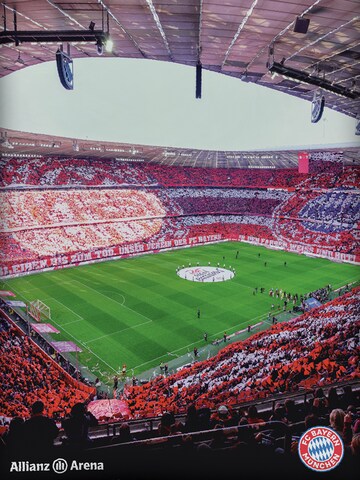 FC BAYERN MÜNCHEN Bettwäsche Arena 'FC Bayern München' in Mischfarben