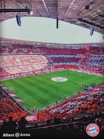 FC BAYERN MÜNCHEN Duvet Cover 'FC Bayern München' in Mixed colors