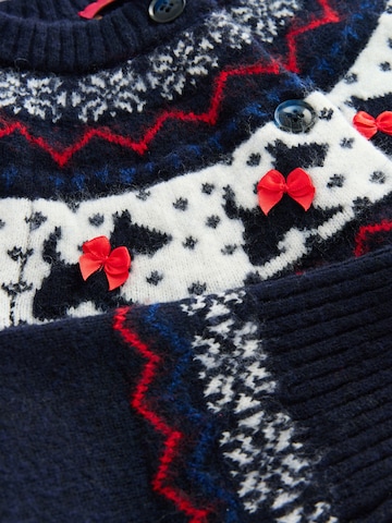 Next Gebreid vest in Blauw