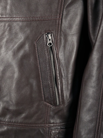 JCC Tussenjas in Bruin