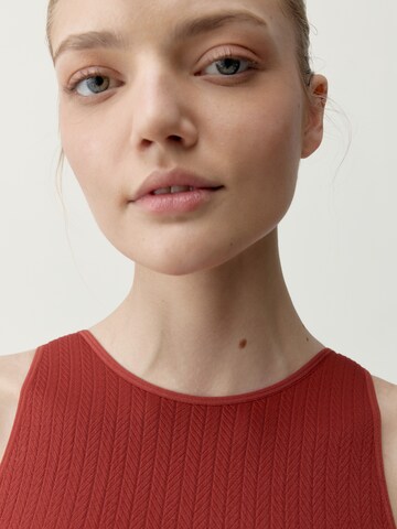 Born Bralette Sports Bra 'Zinara' in Red