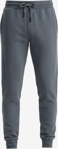Ombre Sports trousers in Grey: front