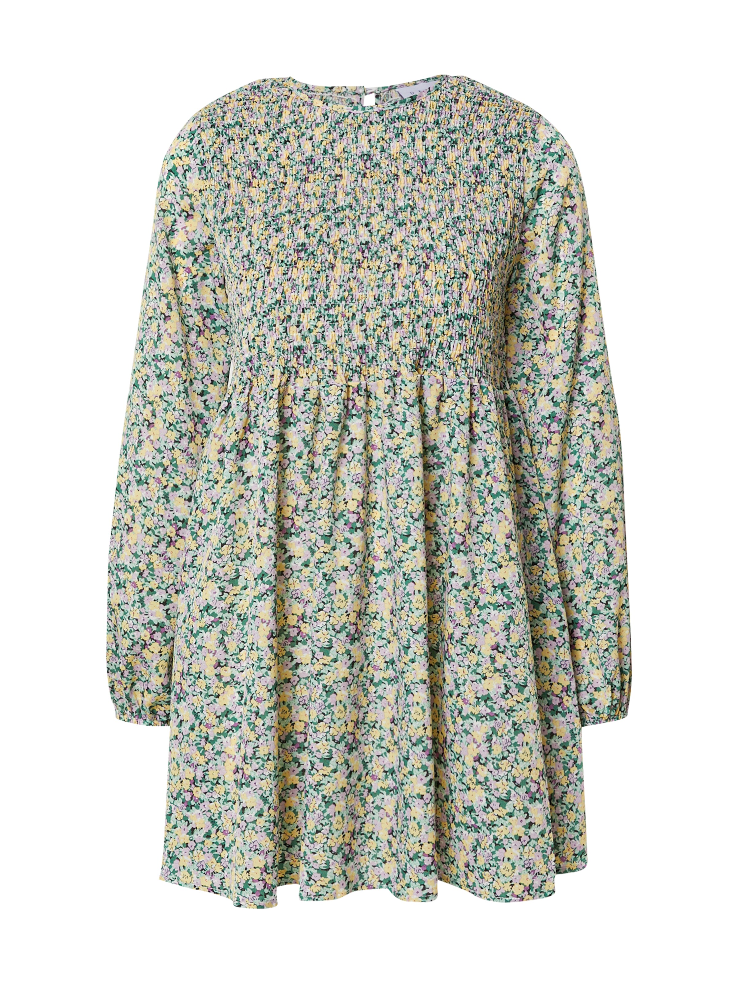 Frauen Kleider Daisy Street Kleid 'ALEXIS' in Mischfarben - FY52652
