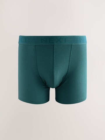 Next Trunks in Mischfarben
