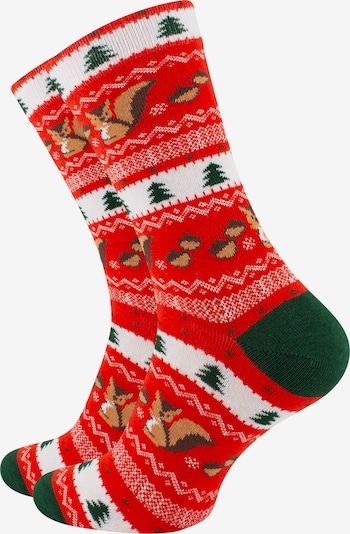 Vincent Creation Socken in grün / rot / weiß, Produktansicht