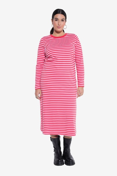 Studio Untold Robe en rose / rouge, Vue avec produit
