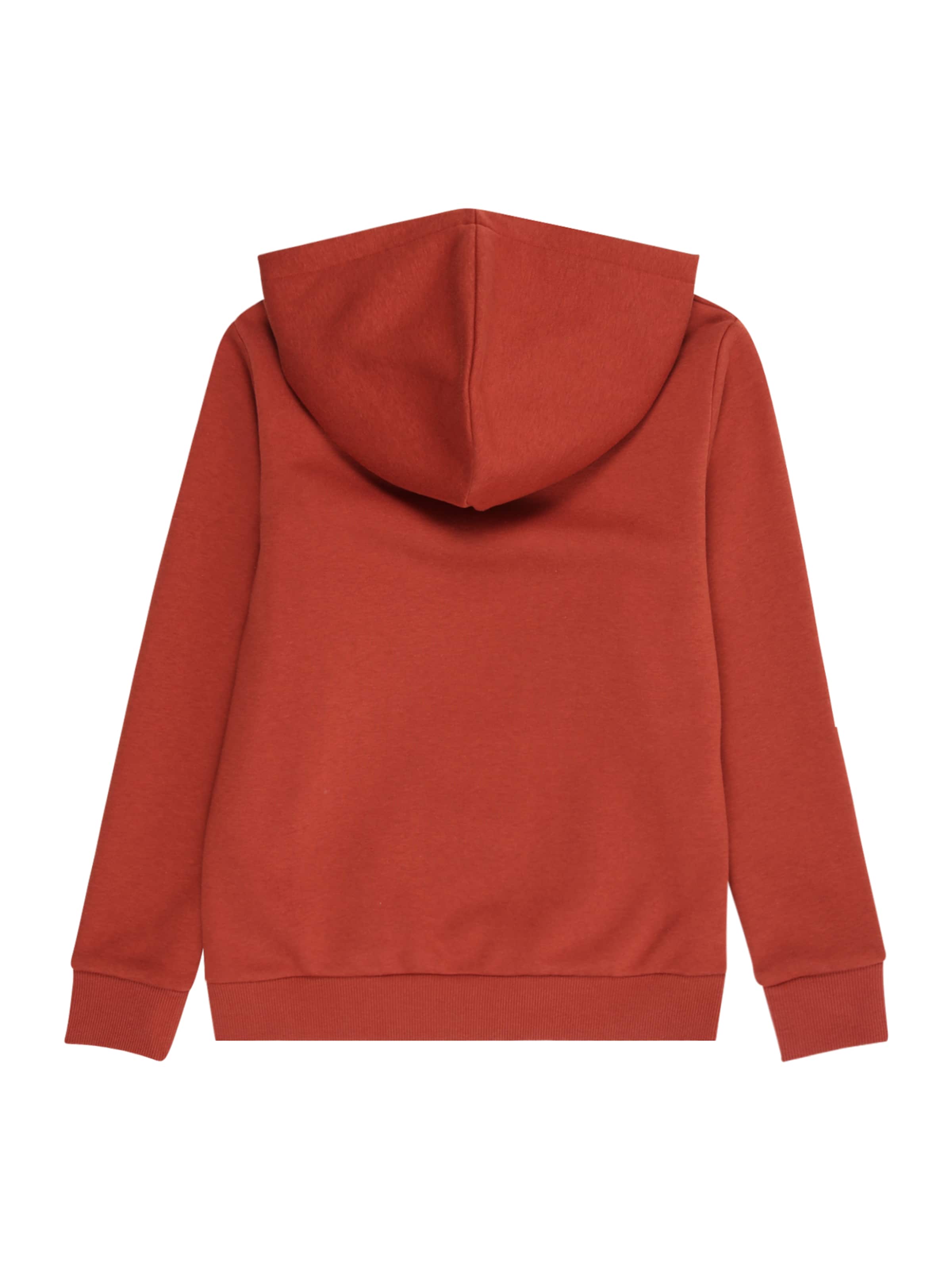 Jack & Jones Junior Sweatshirt 'JJECALEB' in Brown