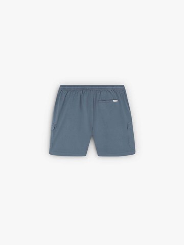 regular Pantaloni cargo 'Milos' di Scalpers in blu