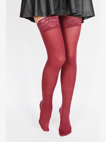 Sokisahtel - Calcetines 'FIONA 60 DEN hold-ups' en rojo: frente