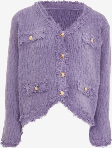 NALLY Knit Cardigan in Purple: front