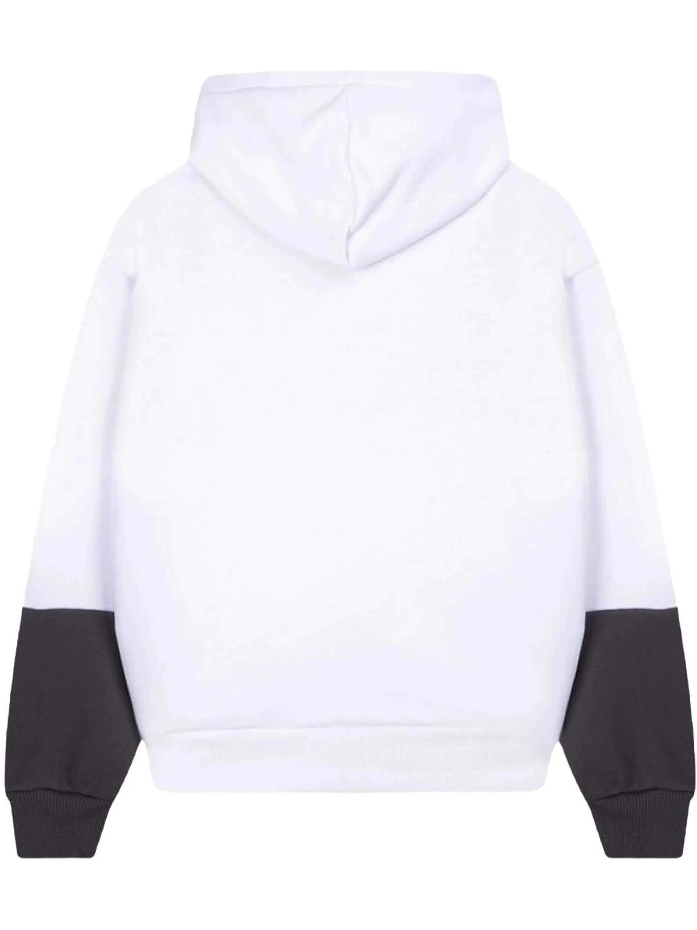 LTB Jeans Sweatshirt in Grey