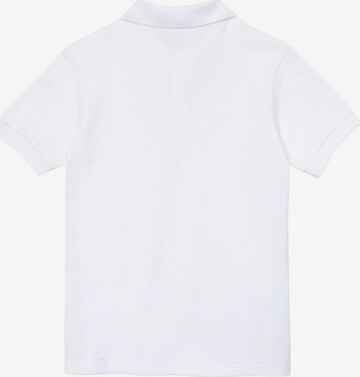 T-Shirt LACOSTE en blanc