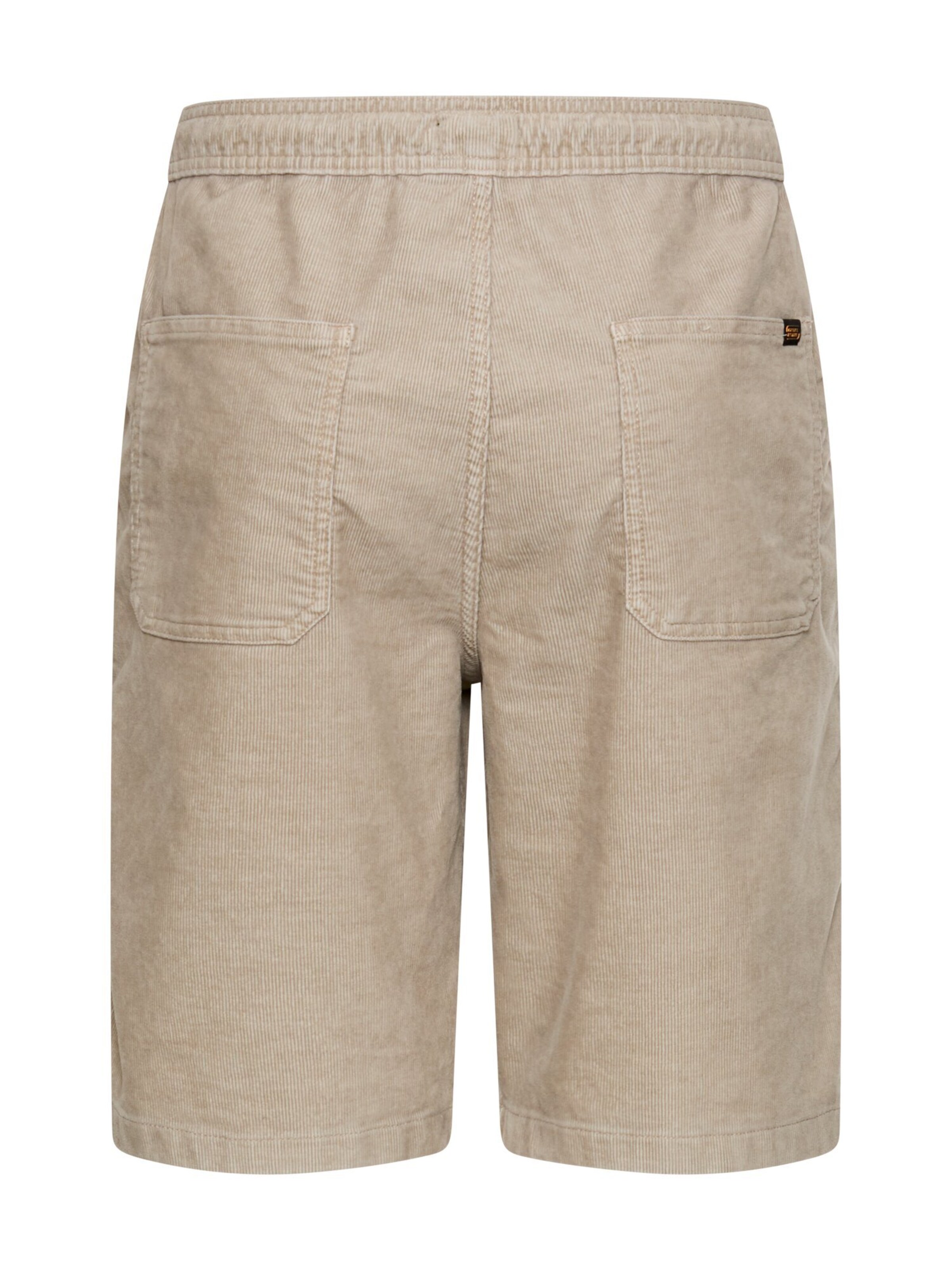 CAMEL ACTIVE Regular Pants in Beige