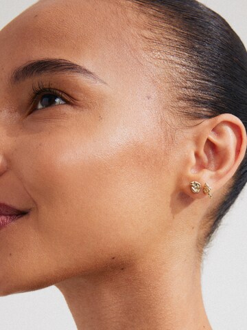 Pilgrim Earrings 'Force' in Gold