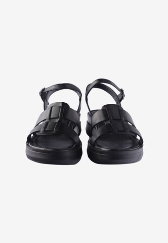 D.MoRo Shoes Sandals in Black