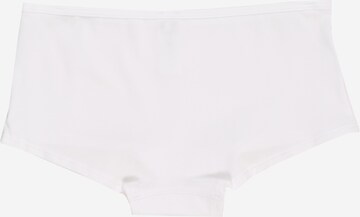 Skiny Underpants in White