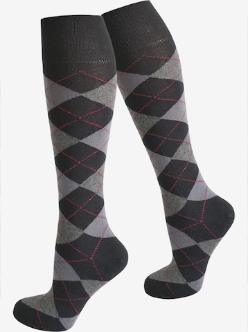 normani Knee High Socks in Mixed colors