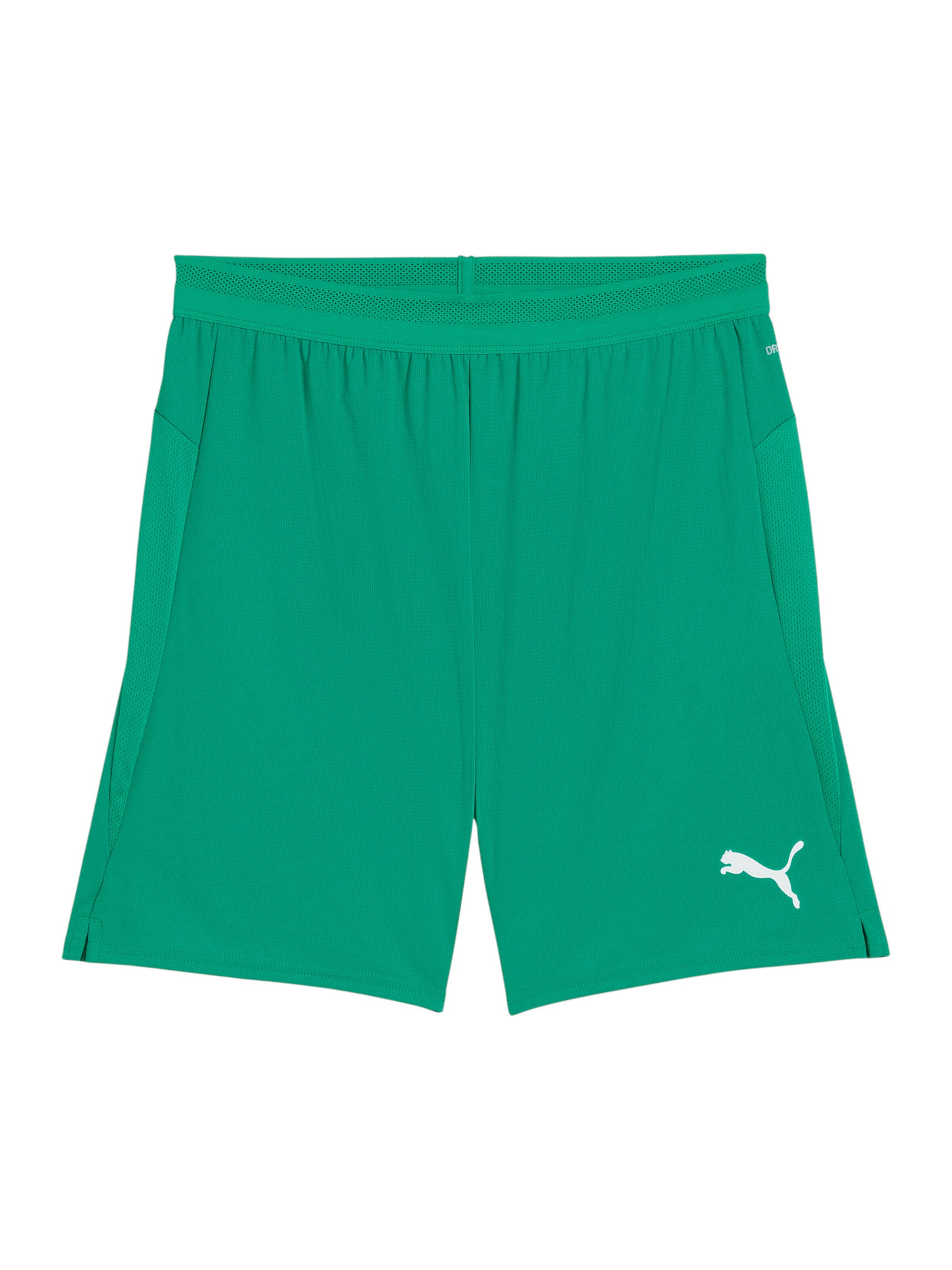 PUMA Παντελόνι φόρμας 'TeamCup' σε πράσινο: μπροστά