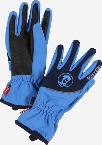 TROLLKIDS Rękawiczki sportowe 'Trolltunga' w kolorze niebieski: przód