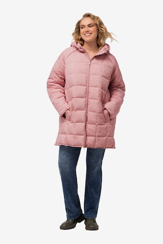Ulla Popken Between-Season Jacket in Pink