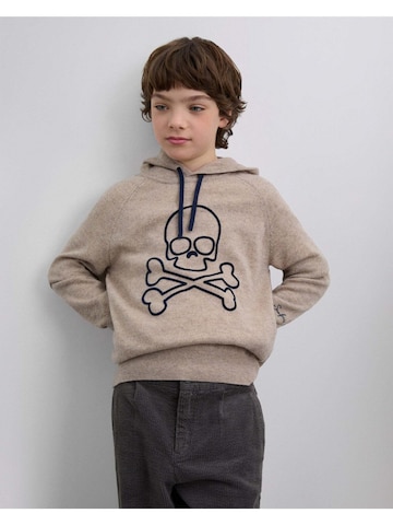 Pull-over Scalpers en gris