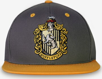 LOGOSHIRT Pet 'Harry Potter – Hufflepuff' in Grijs